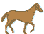 animace koně 1