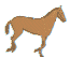 animace koně 2